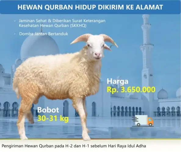 Kurban - Qurban Domba  gerogol cilegon